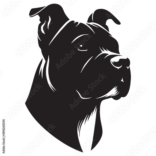 Cane Corso Dog – Powerful Italian Mastiff, Loyal Guardian, Muscular Protector, Noble Working Breed.