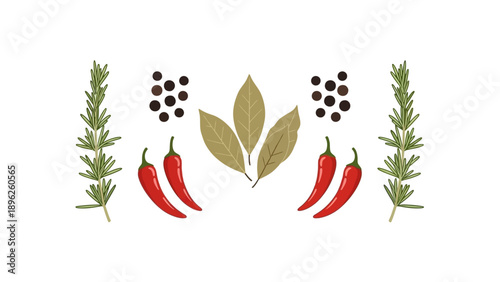 Herbs, spices, and chili peppers arranged together in a graphic illustration