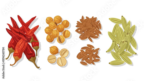 Assorted spices and chili peppers arranged together on a white surface from a top-down viewpoint