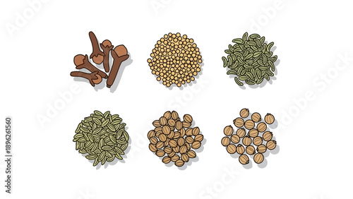 Collection of various plant seeds and pods arranged in a grid pattern, viewed from directly above