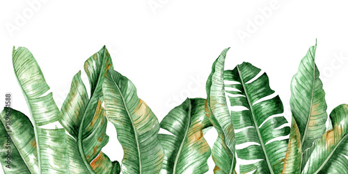 Banana leaves in a vertical arrangement