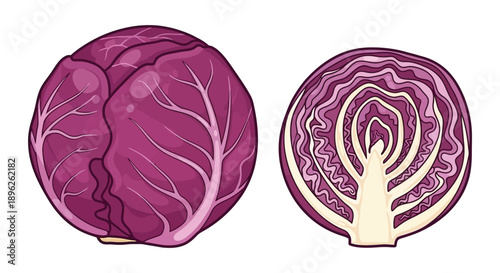 Illustration of a whole and halved red cabbage with scattered leaves
