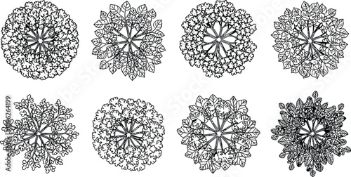 Print Top view tree plan icons, botanical landscape architecture symbols, forest garden plant silhouettes, aerial nature map elements, organic vector collection.