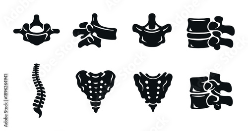 Black silhouette spine and vertebrae illustrations on gray background