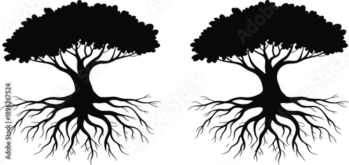 Two black silhouette trees with visible root systems on a white background roots