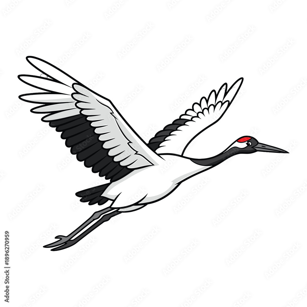 Fototapeta premium Illustration of a white and black bird with red crown flying against a white background