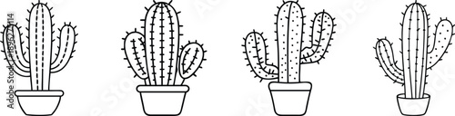 Four different cactus plants in pots illustration