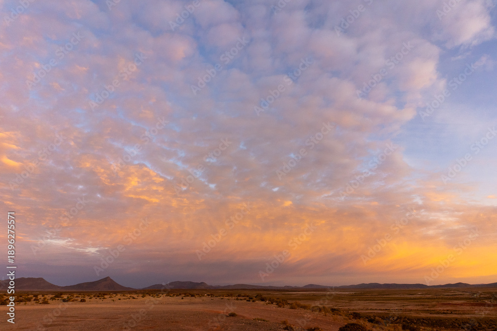 Fototapeta premium sunset in the desert