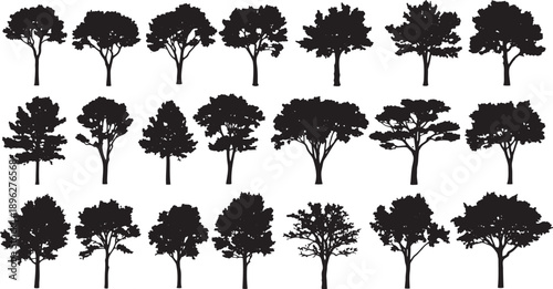 Collection of diverse tree silhouettes