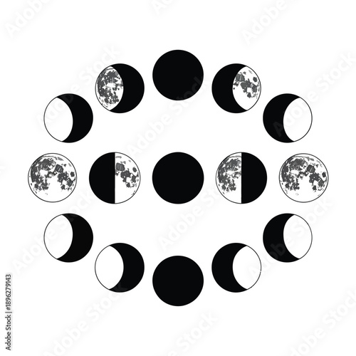 Lunar phases depicted in a circular arrangement grayscale illustration