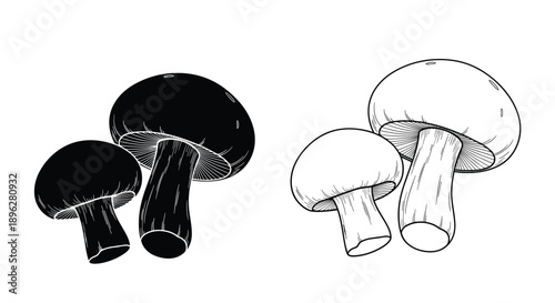 Common button mushrooms are shown in two graphic styles including a solid black silhouette and a detailed line art engraving on white.