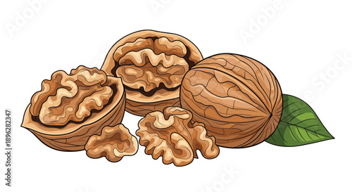 Whole walnuts in brown shells alongside several peeled nut kernels and a single green leaf for healthy food themes.
