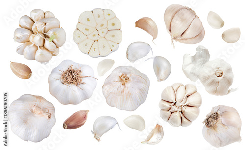Garlic set, isolated on transparent background	
