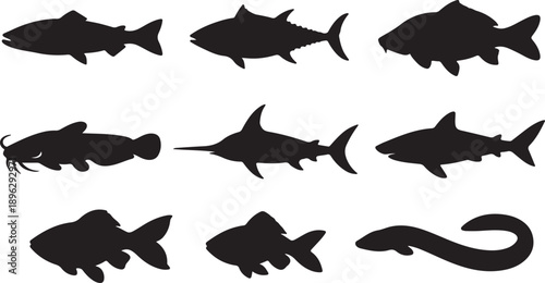 20260130_1945_Image Generation_simple_compose_01kg7jbxbsex88kfjpp7q71r72_png