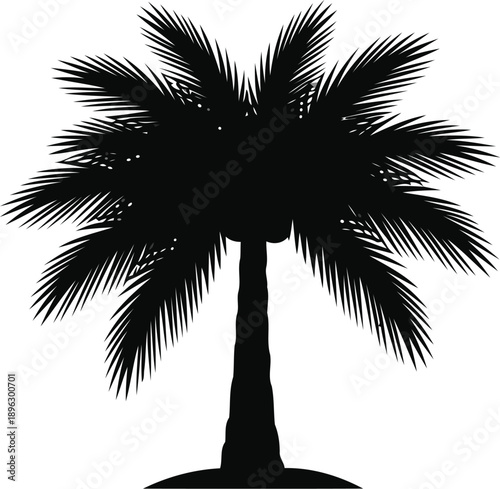 Black silhouette of a tall palm tree with large green fronds, isolated on a transparent background, tropical plant icon