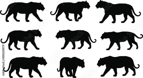Black Panther Walking Silhouette Set, Wild Animal Motion Illustration, Big Cat Walking, Panther Animal Movement Silhouettes, Animal Art