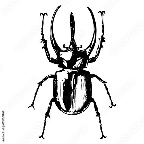 Stag beetle vintage vector icon drawing