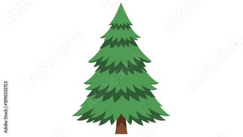 Illustration of a green pine tree with a brown trunk on a white background in a flat style.