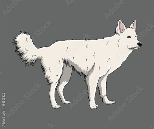White Fluffy Dog Illustration Spitz Breed Side Profile Cartoon Pet Character