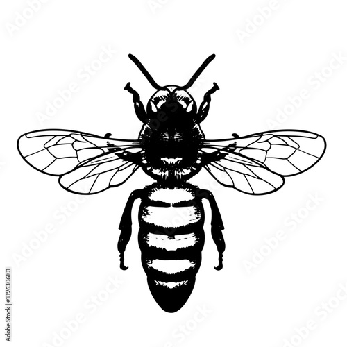 Bee vintage icon