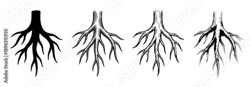 Set of four tree root illustrations showing different artistic styles from a simple black silhouette to a detailed hand-drawn sketch with hatching and line art techniques