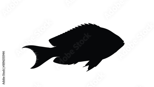 a black fish silhouette against a white background simple aquatic animal outline