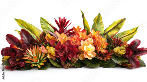 A vibrant display of tropical flora showcases the rich colors and textures of exotic flowers and lush foliage against a crisp, clean white background space.