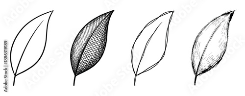Four hand-drawn black ink leaf illustrations showing different sketching and hatching techniques in a minimalist botanical art set perfect for design elements or nature concepts