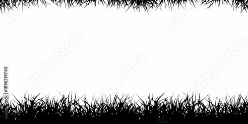 Grassy foreground and blank white space creating a natural frame