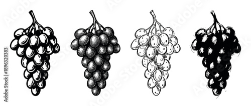 Four black and white grape bunch illustrations in a hand-drawn vintage style, showing different artistic techniques like engraving, sketch, outline, and silhouette for a classic look
