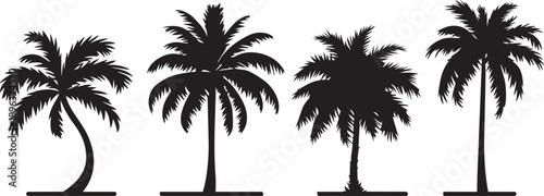 palm or coconut trees vector illustration set on white background. (eps). nature, relaxation, peace, luxury, elegance concept.