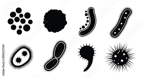 Black and white illustration of various microscopic bacterial and cellular forms