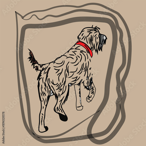 Line shaggy dog with red collar walking within abstract striped border scruffy animal
