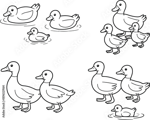 Adorable cartoon ducks in various poses on water and land children's and educational ducklings duck family