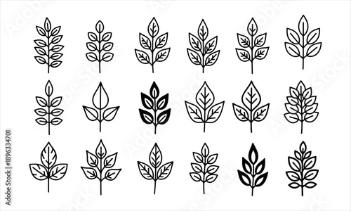 Set of various leaf icons in a black and white outline style