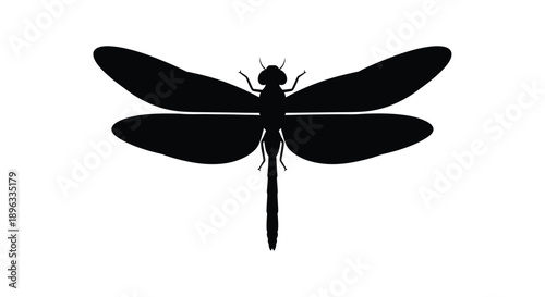 Simple black silhouette of a dragonfly on a white background