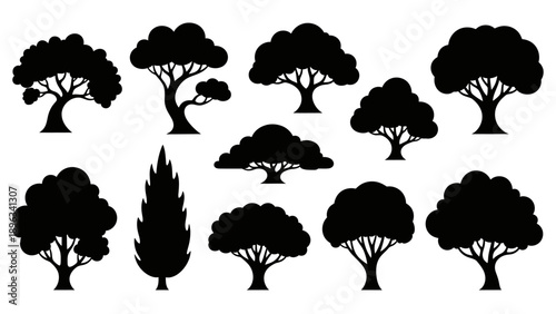 Black silhouettes of various trees.