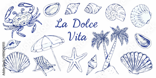 A charming collection of seaside sketches shells crab palm tree and beach items