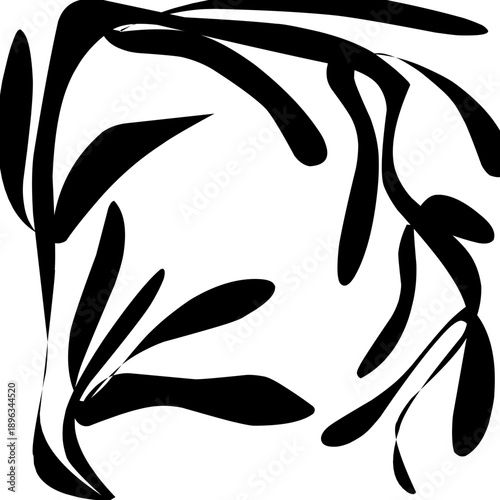 black and white