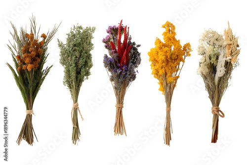 Set of dried flower arrangements isolated on white background