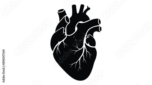 a detailed black heart illustration with intricate veins arteries and vessel silhouette