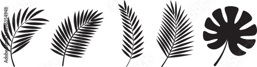 Beautiful palm tree leaf set silhouette background vector illustration