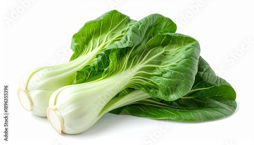 Fresh green bok choy or pak choi isolated on white background