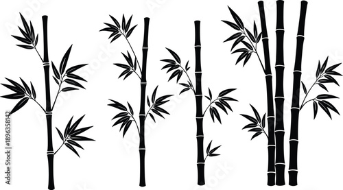 Bamboo plant silhouettes set isolated on white background, Asian botanical illustration symbolizing nature, zen, growth, sustainability, eco design, spa decor, and natural harmony