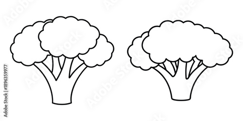 Broccoli vegetable drawing outline vector illustration