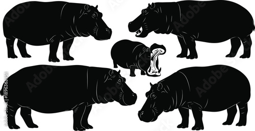 Hippopotamus silhouettes in multiple standing and yawning poses isolated on white background for wildlife, safari, and nature design concepts
