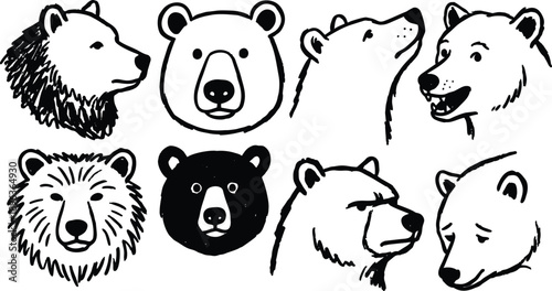 Line art sketch collection of eight bear head variations in black and white hand drawn vector close ups showing different expressions and angles detailed playful icons