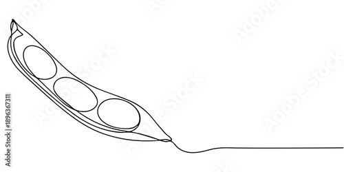 Fava beans continuous one line drawing, Fava beans continuous one line art drawing organic fava beans, pro vector illustration isolated on white background. beans vector pattern for vegan, One line