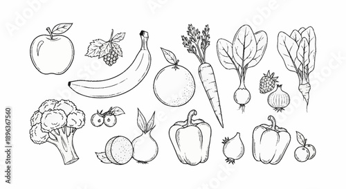 Collection of Hand Drawn Fruits and Vegetables Sketch.