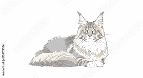 Majestic Maine Coon Cat Lounging Gracefully.